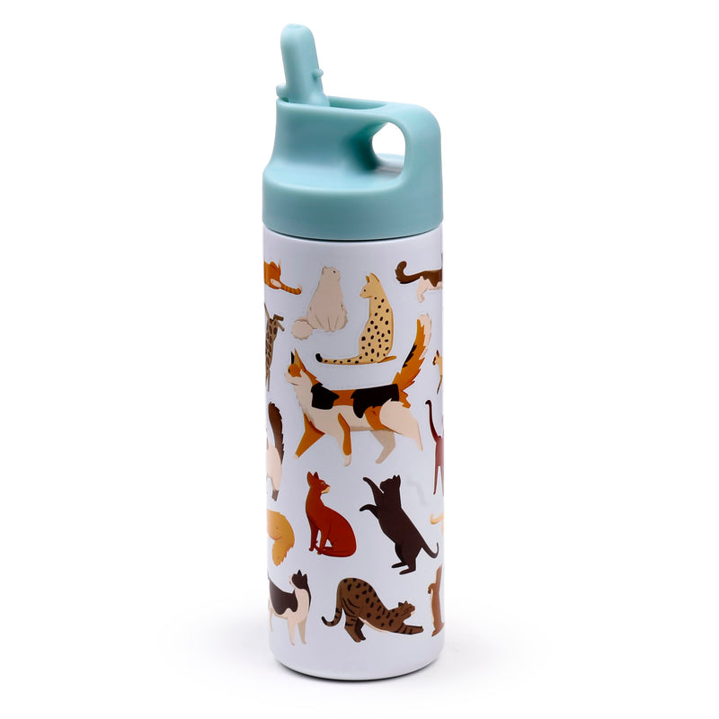 Puckator Feline Fine Cats Hot & Cold Flip Top Drinks Bottle 500ml - Stainless Steel Metal Insulated Water Bottles - Thermos Flask for Kids Girls Adults Mens Boys Drink Hot and Cold Water Bottle