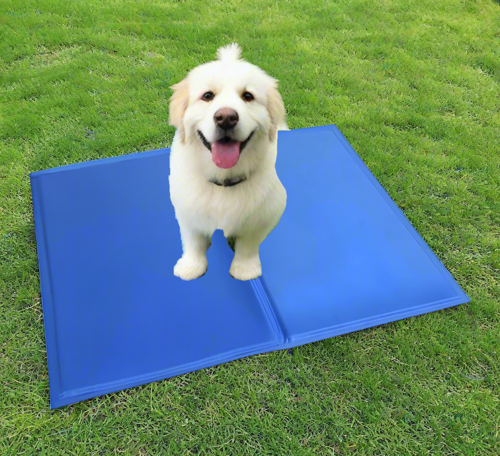 Generise Pet Cooling Gel Mat - 50cm x 40cm- Blue