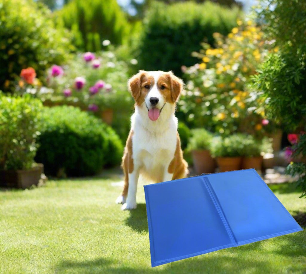 Generise Pet Cooling Gel Mat - 50cm x 40cm- Blue