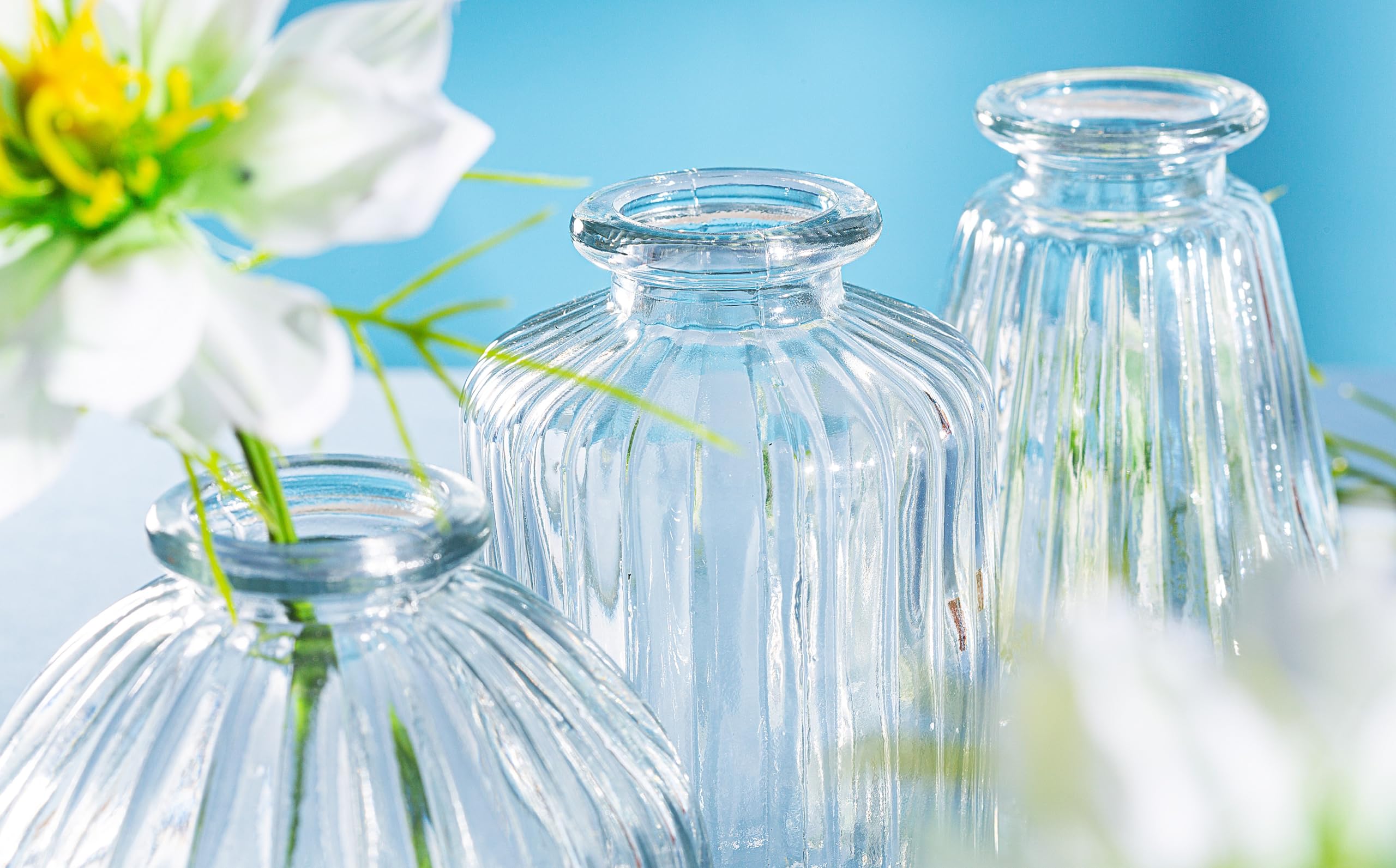 Sass Belle Plain Glass Bud Vases Set Of 3 Clear